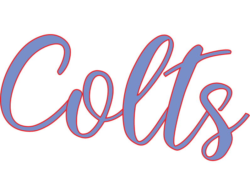 West Distressed Volleyball – WJVB-004 design
