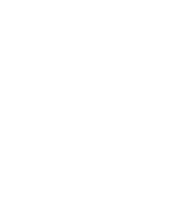 ANCLACHA - 217